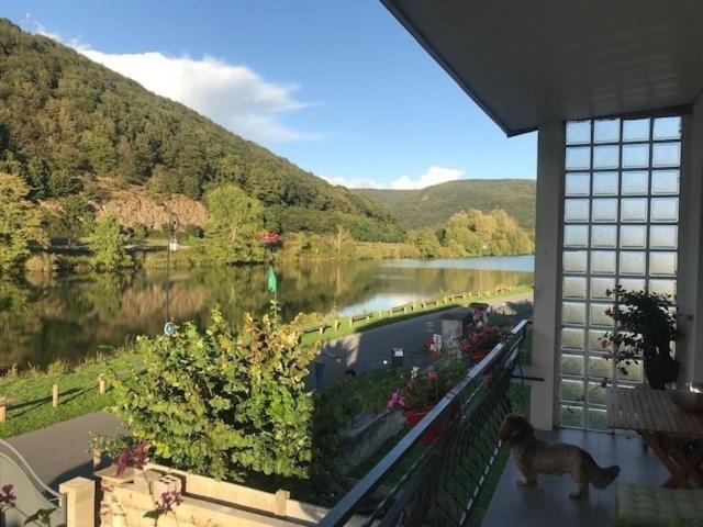 La Rose Sur Meuse Villa Haybes Luaran gambar